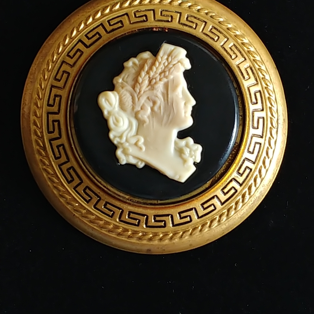 Vintage Gold and Black Cameo Brooch